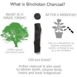 Black + Blum Binchotan Active Charcoal For Eau Good Water Bottles 4-pack -Ketelwinkel 1200x1200 46